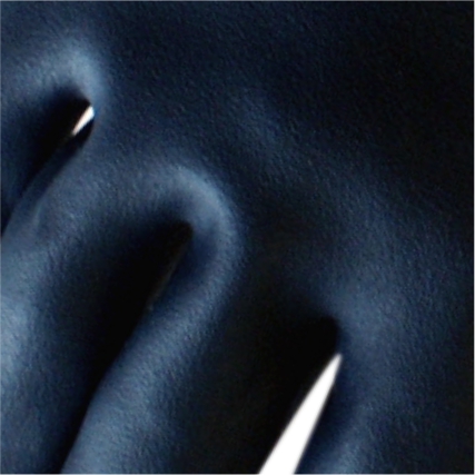 賽立特L18511-10氯丁橡膠防化手套圖片1 賽立特L18511-10氯丁橡膠防化手套圖片1