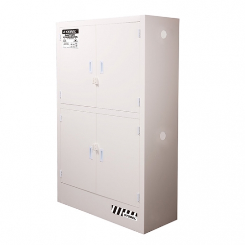 西斯貝爾ACP810048強腐蝕性化學品儲存柜圖片1 西斯貝爾ACP810048強腐蝕性化學品儲存柜圖片1