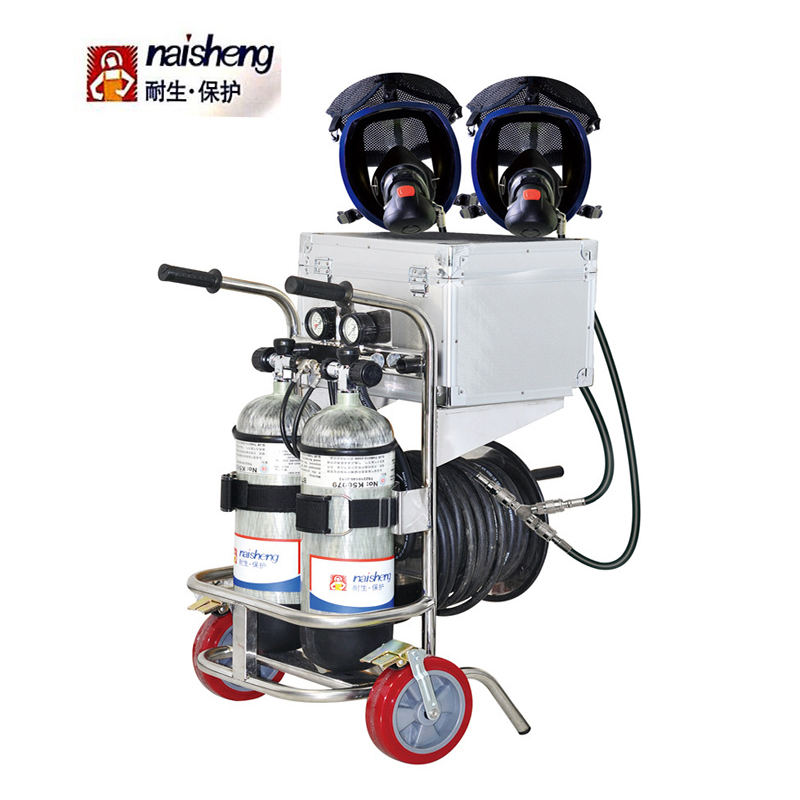 耐生82050011B 6.8L進(jìn)口碳瓶車載式移動供氣推車