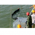 新絡(luò)DXS150動態(tài)斜面收油機(jī)