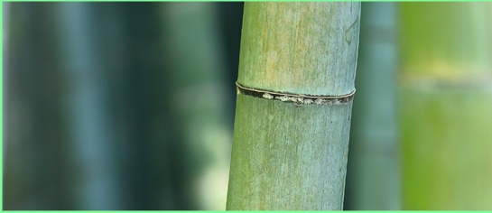 uvex新品uvex 1 x-craft planet安全鞋 新款環(huán)保安全鞋11