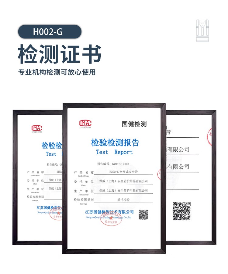 PIP H002-G經濟款雙掛點全身式安全帶9