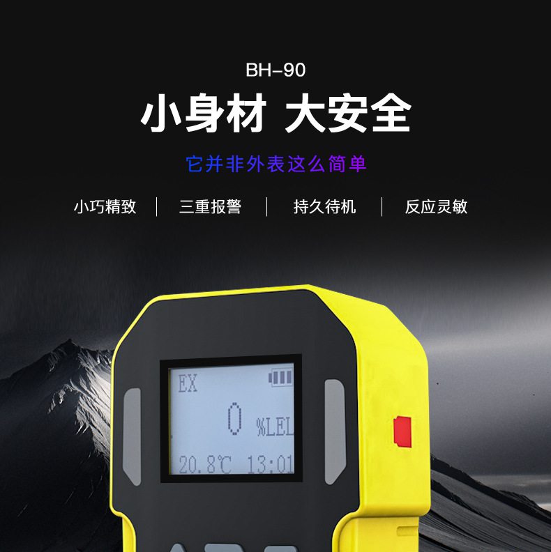 保時(shí)安BH-90便攜式擴(kuò)散式單一氣體檢測儀1.jpg