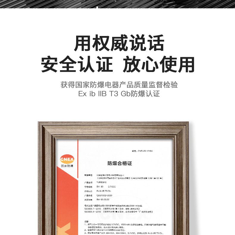保時(shí)安BH-90便攜式擴(kuò)散式單一氣體檢測儀7.jpg